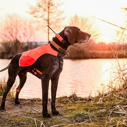 Obojek pro dalšího psa DOG GPS X25- oranžová