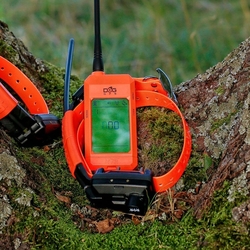 Obojek pro dalšího psa DOG GPS X25TB- oranžová