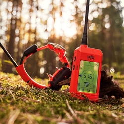 Obojek pro dalšího psa DOG GPS X25T- oranžová