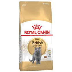 Royal Canin British Shorthair Adult 10 kg