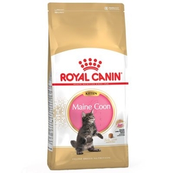 Royal Canin Maine Coon Kitten 10 kg